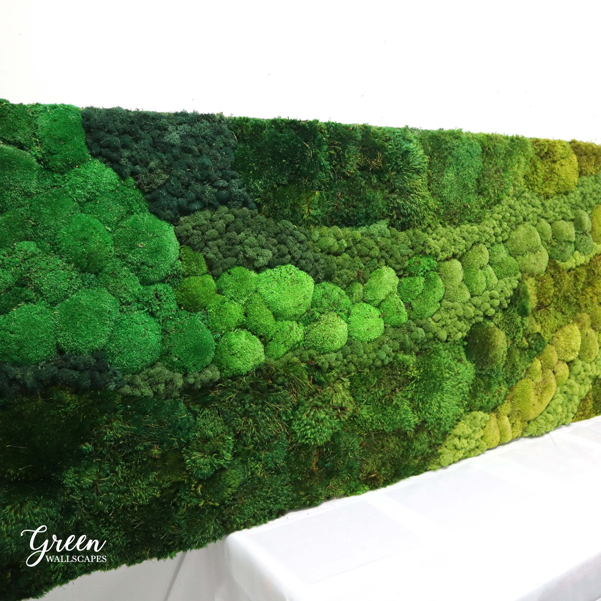 How Long Does Preserved Moss Last? Green Wallscapes