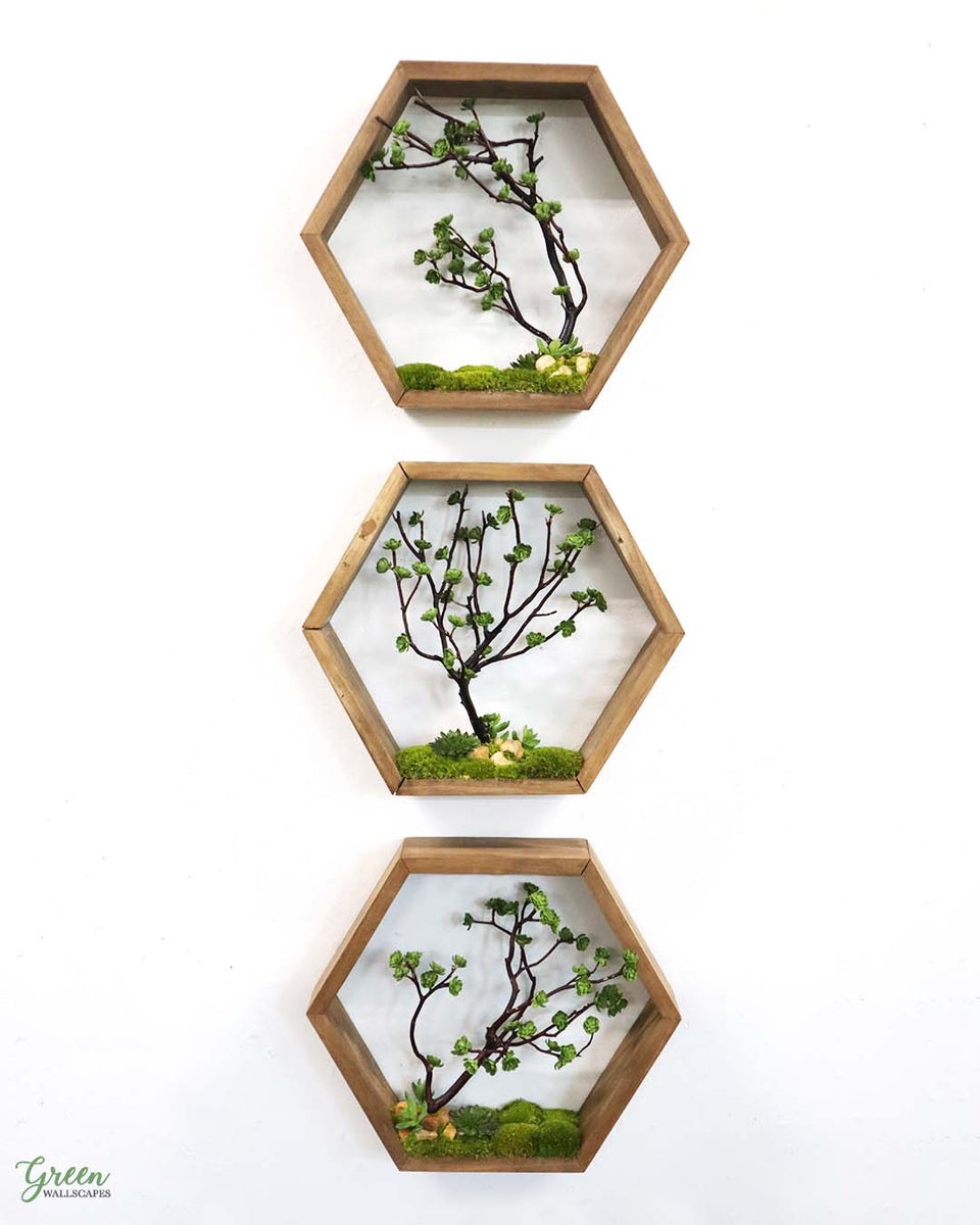 EtsySucculentHexagonsPhoto1_1_