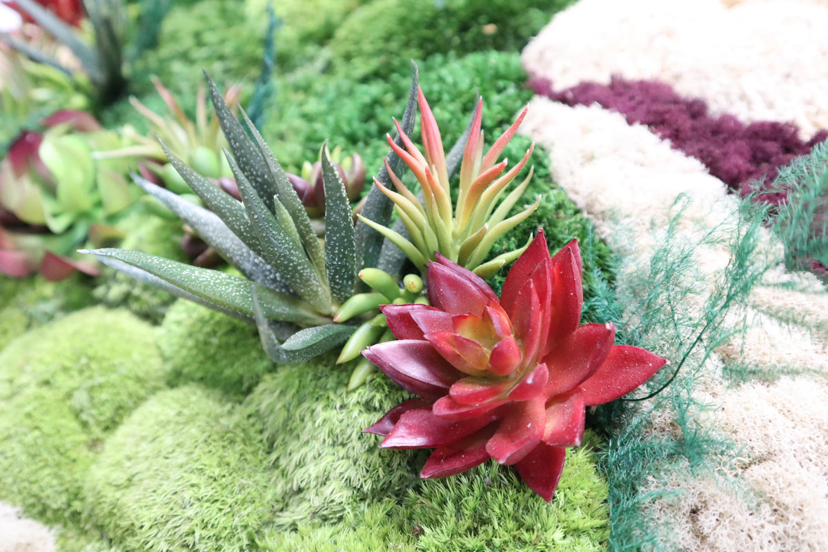 Festive Moss and Burgundy Succulent Wall Art - 23.5 Inches