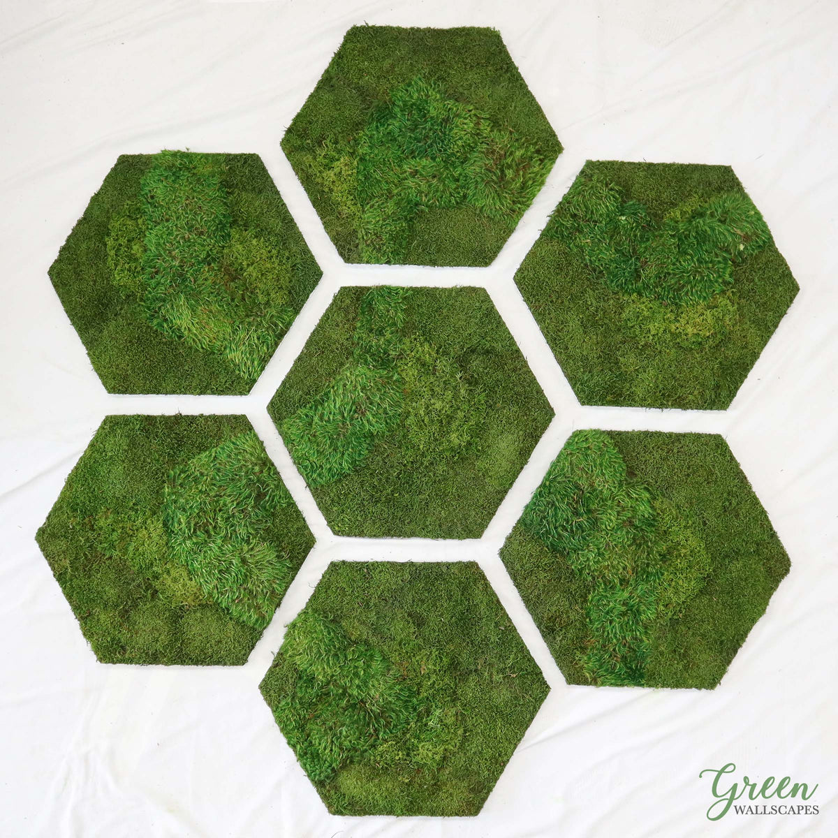 Moss Wall - Hexagon – GrowUp Greenwalls