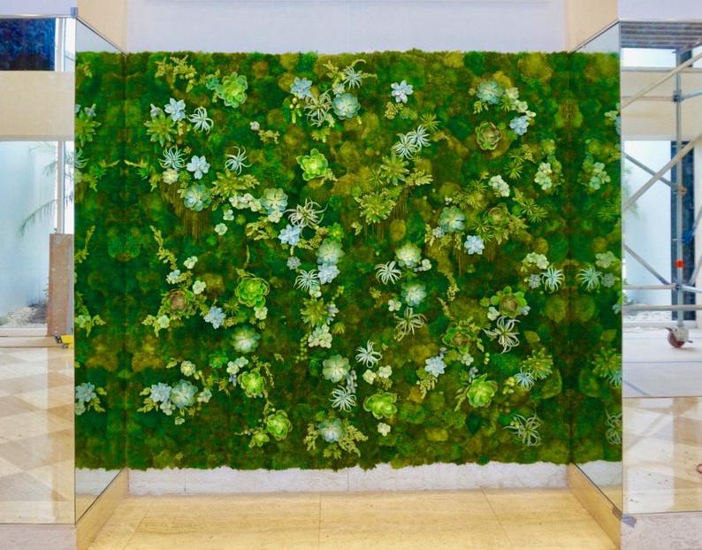 succulent wall design Amazonia Collection - Succulent & Moss Wall - Green Wallscapes Custom 2 - Call For Pricing
