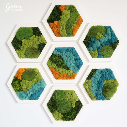 Custom Mixed Moss Hexagons