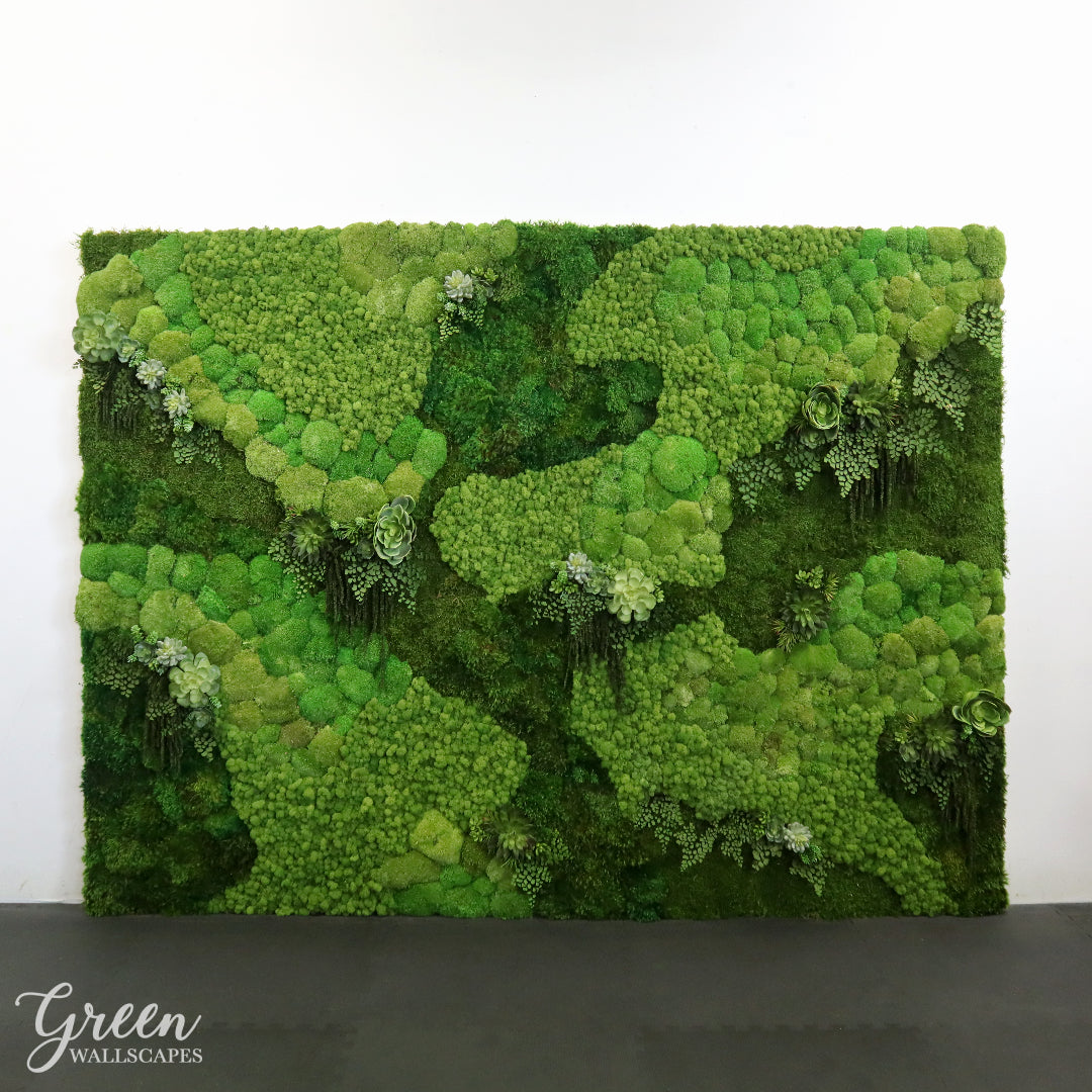 Amazonia Collection - Succulent & Moss Wall - Green Wallscapes Custom 2 - Call For Pricing