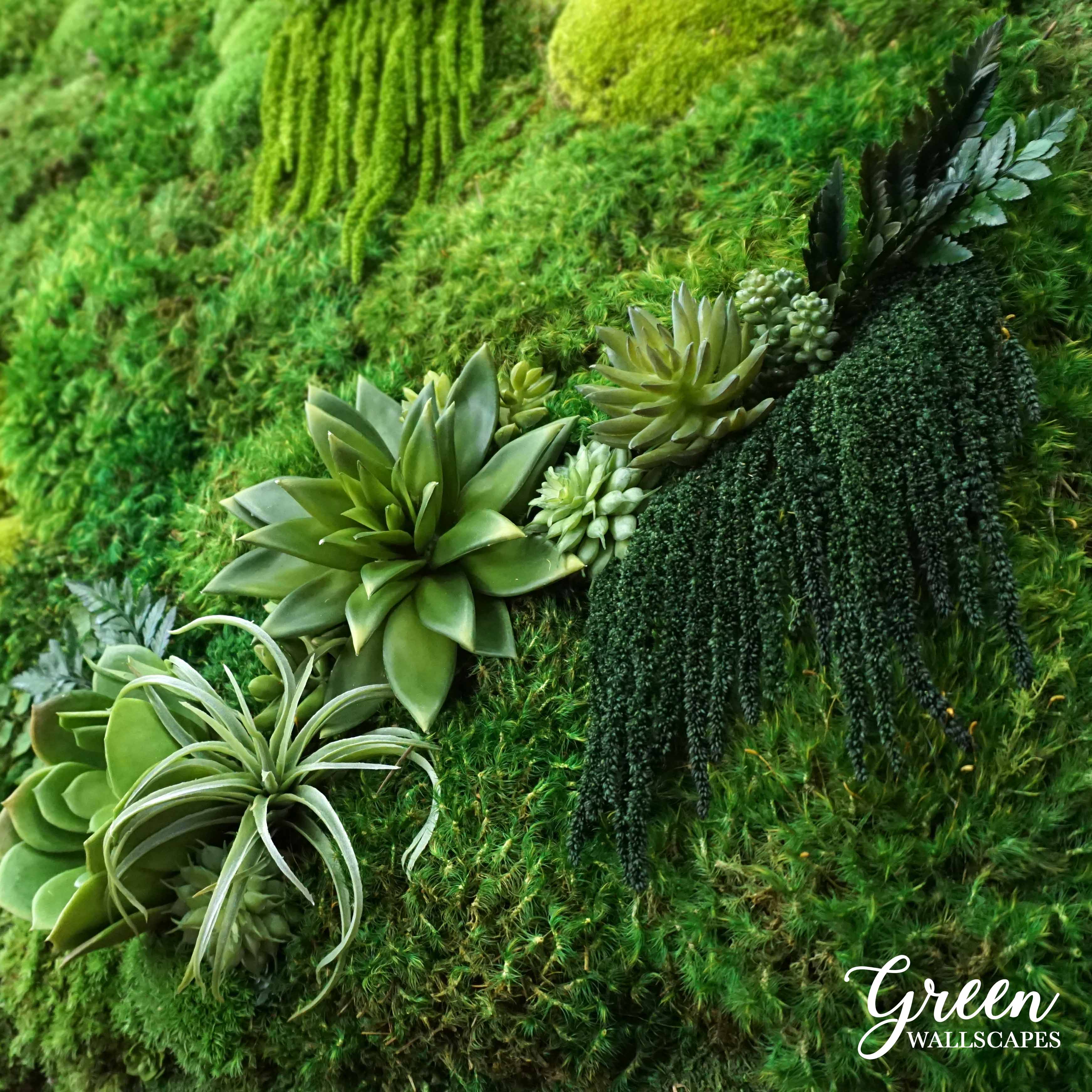 Decorating with Moss and Succulents  Green Wallscapes