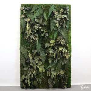 Moss and Fern Green Walls