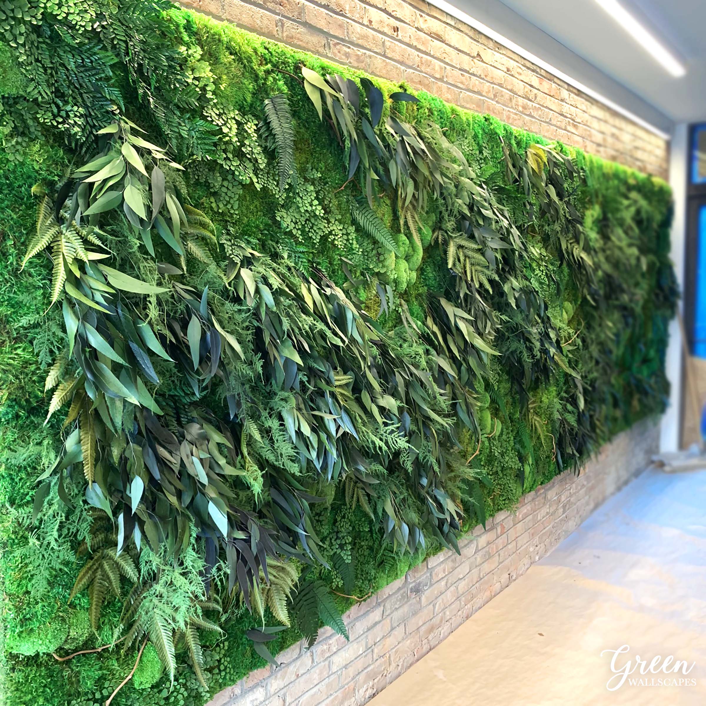 Indoor & Outdoor Moss Wall Installation