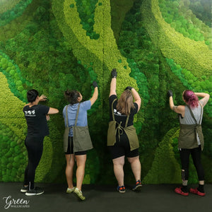 Everything You Need to Know About Custom Moss Walls
