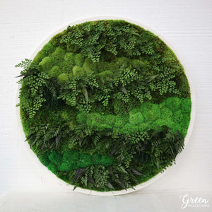 Circle Moss Art and Logos