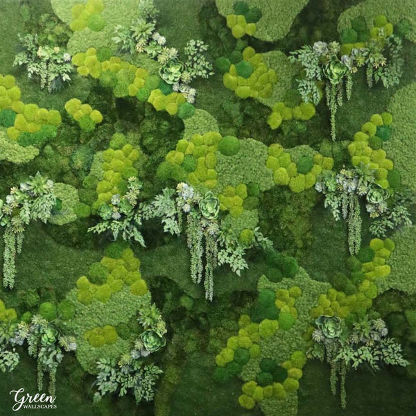 What is the Difference Between a Living Wall and a Moss Wall?