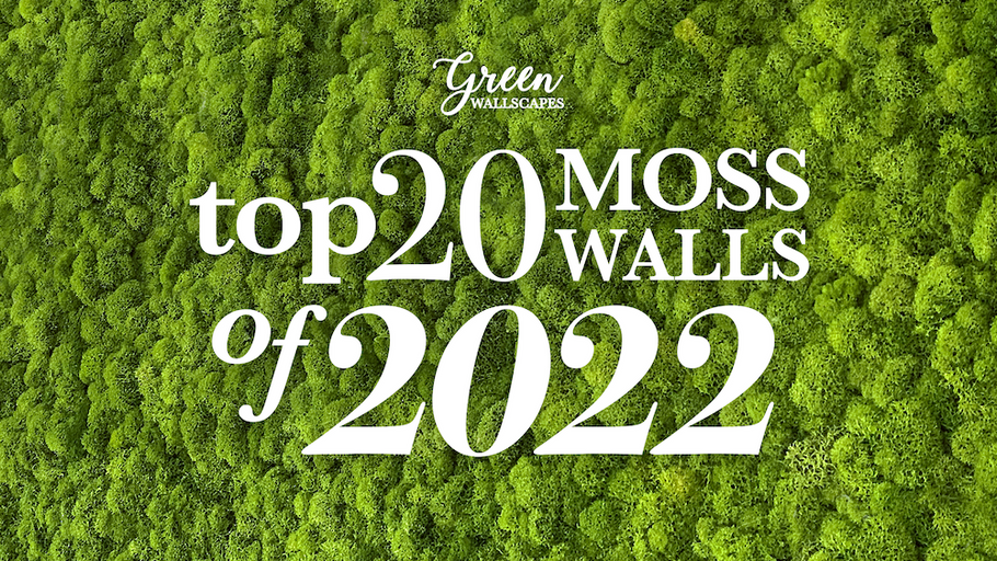 Top 20 Moss Walls of 2022