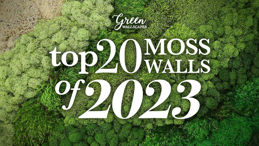Celebrating 2023: Our Top 20 Moss Wall Projects | A Year in Review