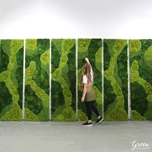 How to Care for Moss Art