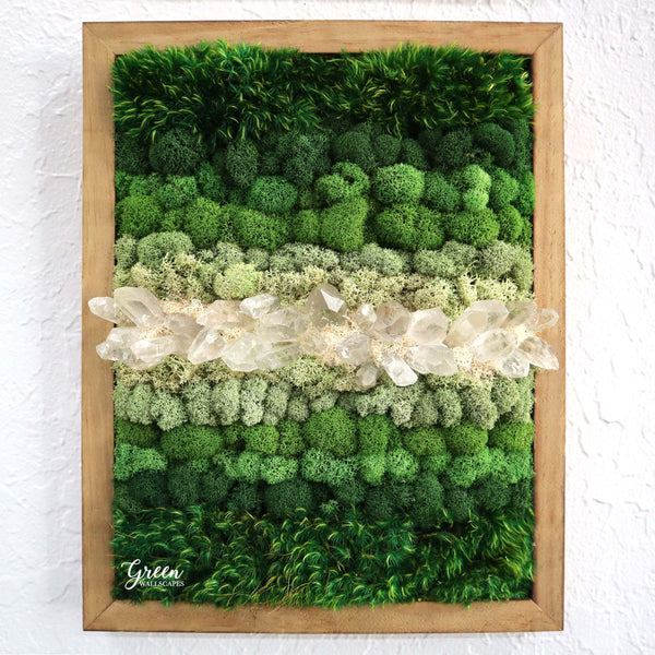 Framed Moss Art | Painting with Moss