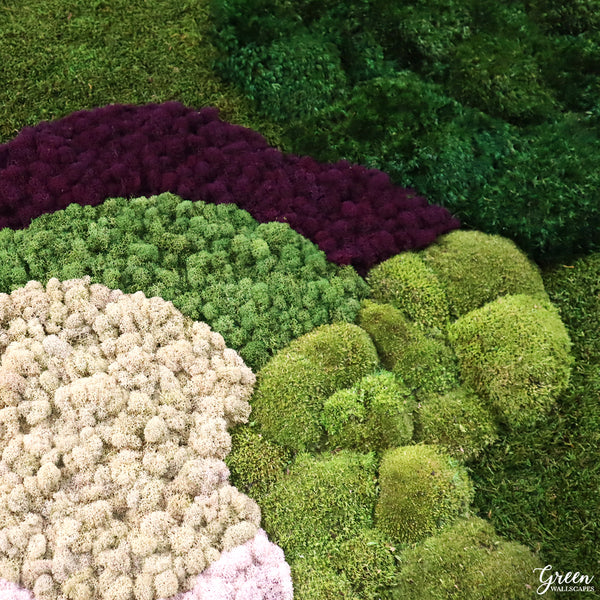 Moss Art: Exploring the Beauty of Living Green Masterpieces