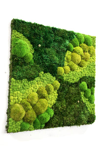 Mixed Moss Wall Art