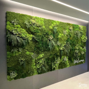 Moss and Succulent Wall installed in a modern hallway wiht the word welcome 