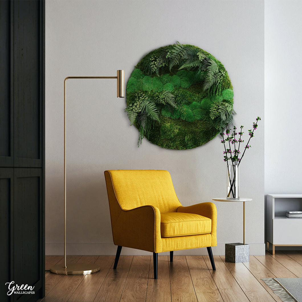 Preserved Moss and Fern Circle Art - 23.5 Inches - A Botanical Oasis for Your Walls