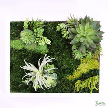 12" x 16" Shadow Box - Amazonia Room Decor