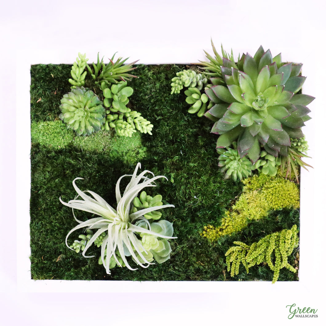 succulent frame box 11" x 14" Shadow Box Frame - Mixed Moss Wall Art