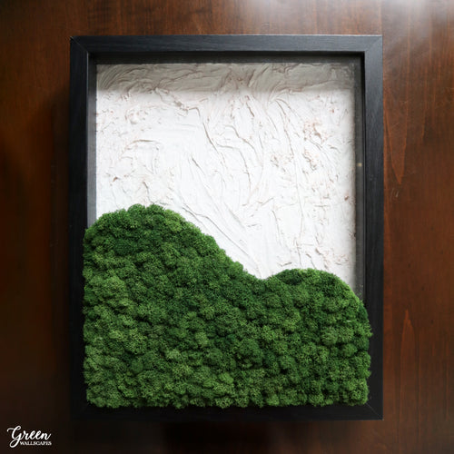 Evergreen Dreamscape Shadow Box - Wall Art
