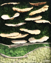 Forest Canopy Moss Art