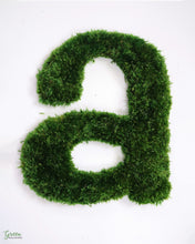 Mood Moss Initial Letter “a”