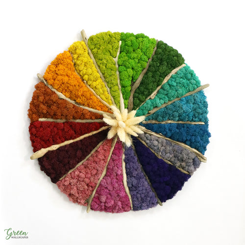 Color Wheel Moss Art | Moss Wall Art