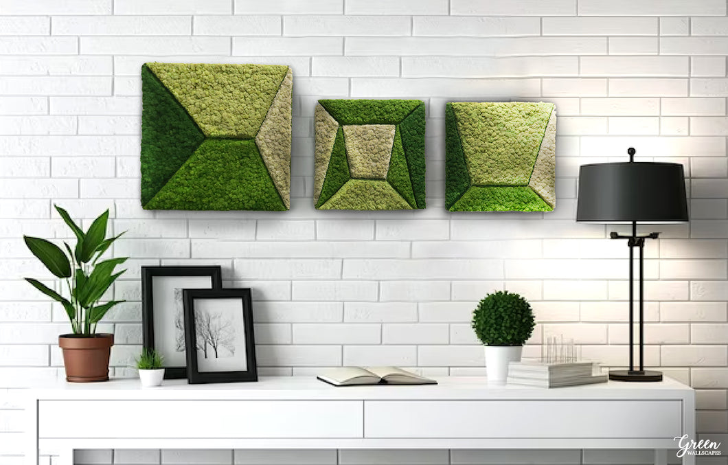 Preserved Reindeer Moss Squares, Geo Design, Wall Art