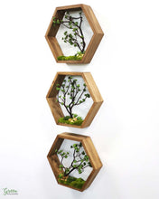 Wooden Hexagon Trio - Moss and Branches in a Hexagonal Frame - Biophilic Art