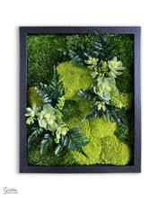 Mini Classic Amazonia Wall Art with Black Frame