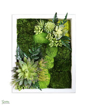 Mini Classic Amazonia Wall Art with White Frame