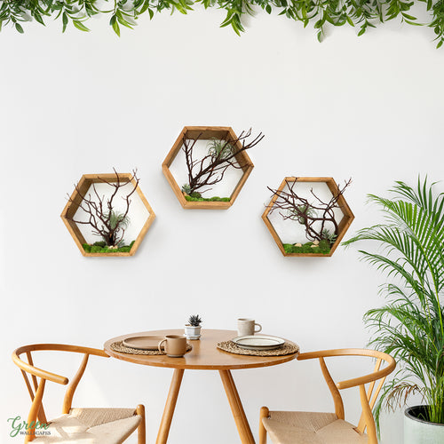 Wooden Hexagon Trio - Moss and Branches in a Hexagonal Frame - Biophilic Art