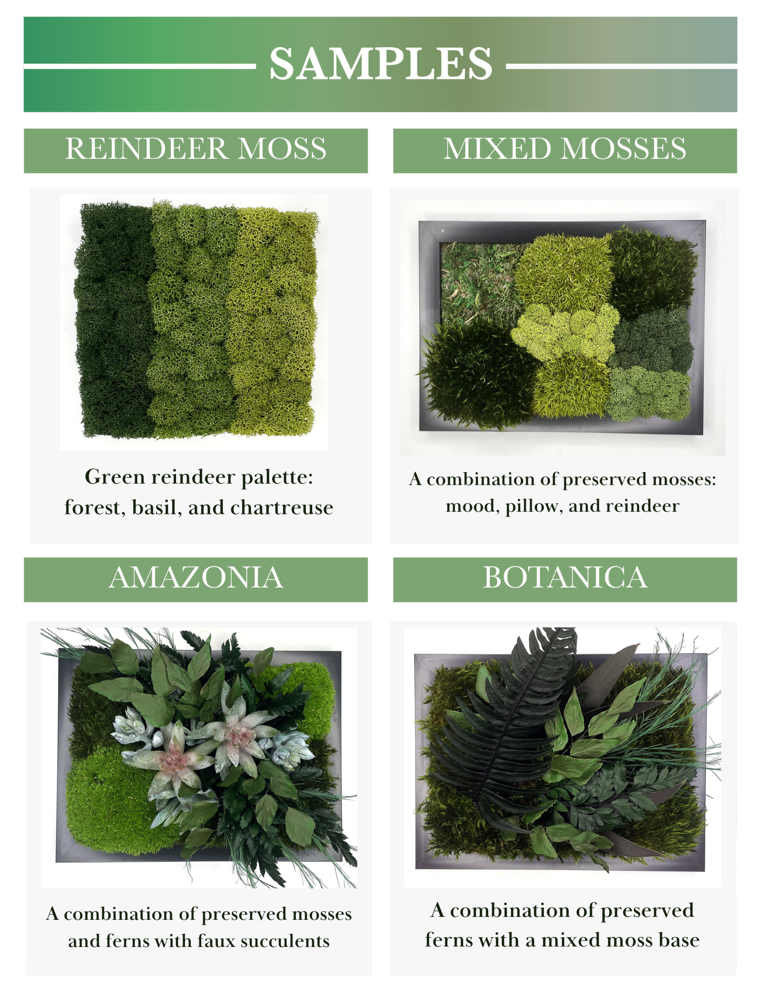 Moss Sample Kit 8798178640062