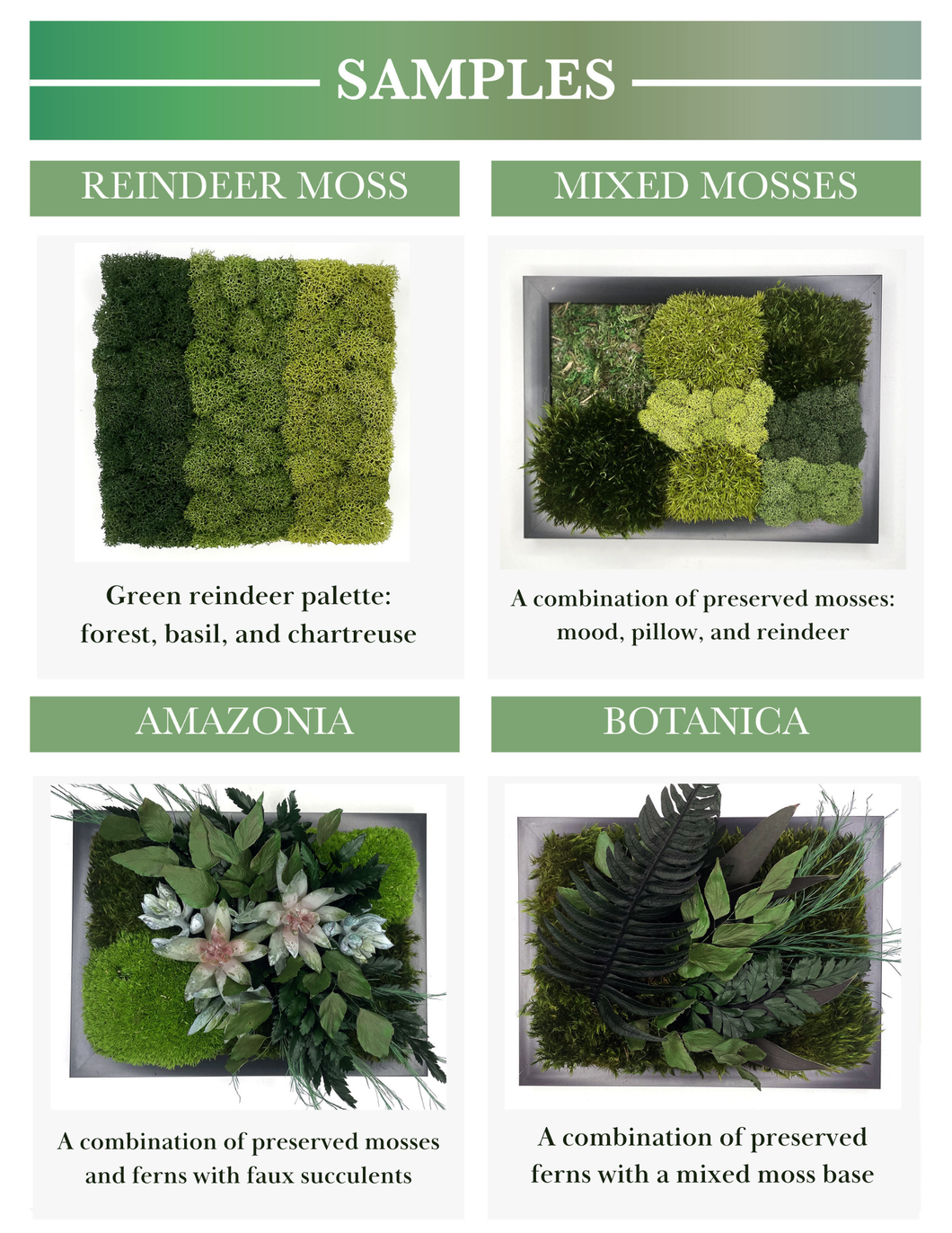 Moss Sample Kit 8798178640062