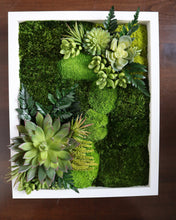 Mini Classic Amazonia Wall Art with White Frame