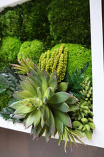 Mini Classic Amazonia Wall Art with White Frame