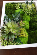 Mini Classic Amazonia Wall Art with White Frame