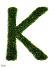 Mood Moss Initial Letter “K”