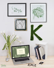Mood Moss Initial Letter “K”