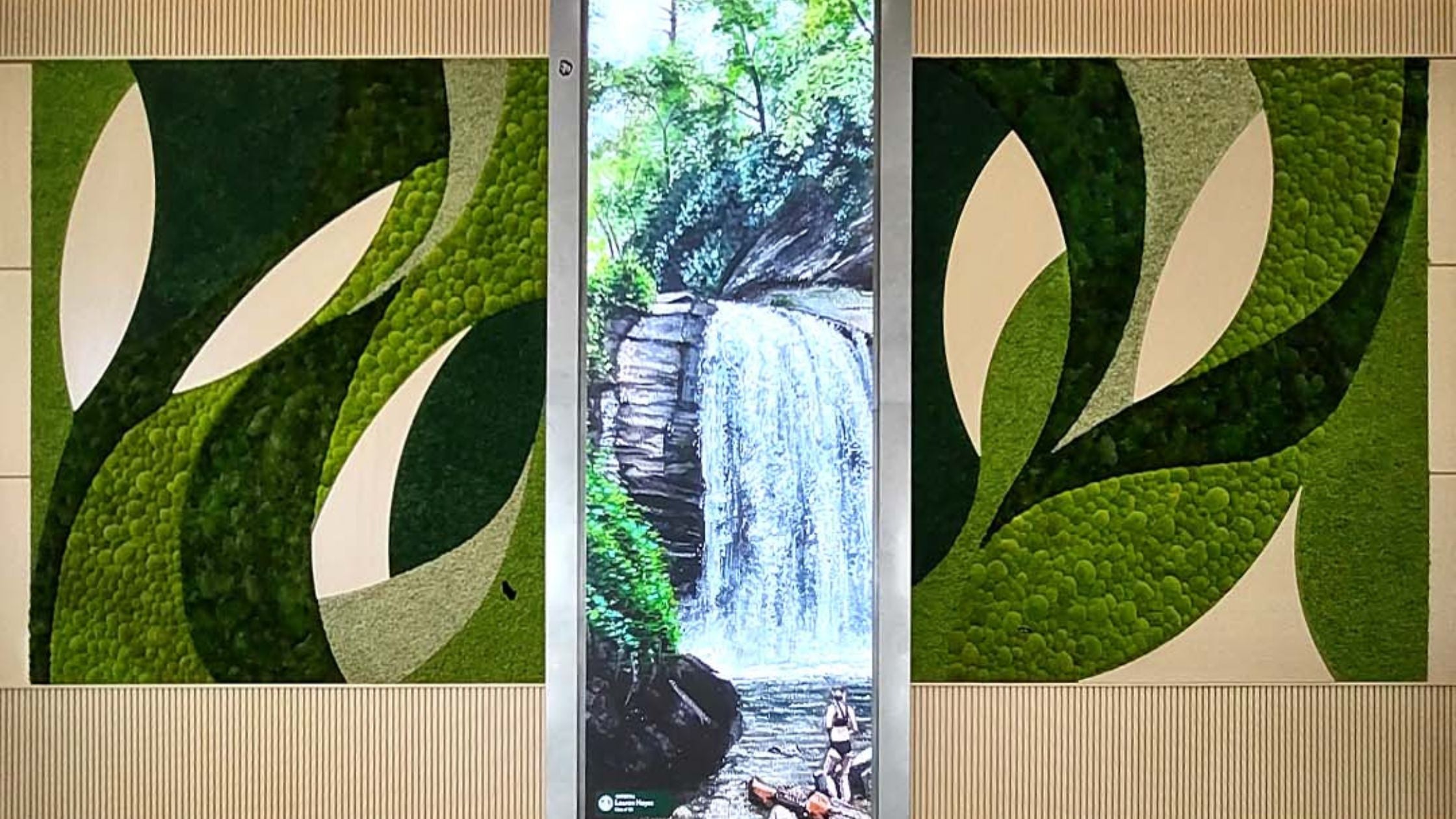 Moss Wall, Mixed Moss, Origin Series, Green Wallscapes, Reindeer Moss, Pillow Moss, Mood Moss