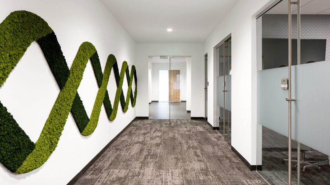 Modern office hallway with green moss wall art and glass doors in a helix pattern