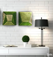 Preserved Reindeer Moss Square Set, Geo Design, Wall Art