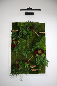 "Crimson Essence" Framed Wall Art | Moss and Succulent Wall Art