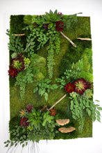 "Crimson Essence" Framed Wall Art | Moss and Succulent Wall Art