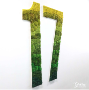 gradient moss lettering of number 17