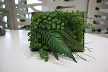 Preserved Moss and Fern Art