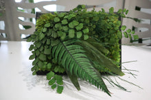 Preserved Moss and Fern Art