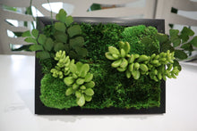 Preserved Moss and Faux Succulent Framed Art