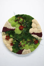 Festive Moss and Burgundy Succulent Wall Art - 23.5 Inches - Nature's Elegance for Your Space (without the watering!)