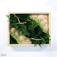 framed moss art with mixed mosses, ferns, and branches
